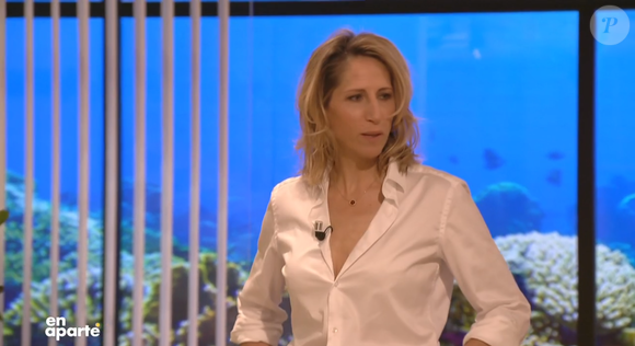 Maud Fontenoy évoque ses 5 enfants dans "En aparté", capture d'écran Canal+.