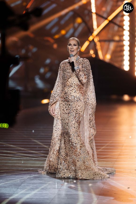 Concert de Celine Dion au défilé anniversaire Elie Saab "1001 Seasons of Elie Saab" à l'espace "The Venue" à Riyad, Arabie saoudite le 13 novembre 2024.

© Tiziano Da Silva / Bestimage