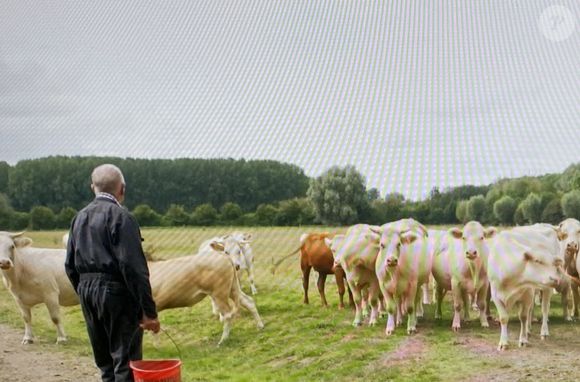 Jean-Louis, nouvel agriculteur de "L'amour est dans le pré". M6