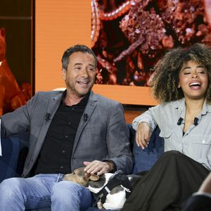 Bernard Montiel anime l’émission “Animalement vôtre” sur France 3, dédiée au bien-être animal.

 Bernard Montiel, Oli et son chien Monday sur plateau de l'émission "Animalement Vôtre" présentée par B.Montiel. © Jack Tribeca/Bestimage