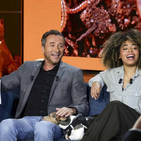 Bernard Montiel anime l’émission “Animalement vôtre” sur France 3, dédiée au bien-être animal.

 Bernard Montiel, Oli et son chien Monday sur plateau de l'émission "Animalement Vôtre" présentée par B.Montiel. © Jack Tribeca/Bestimage