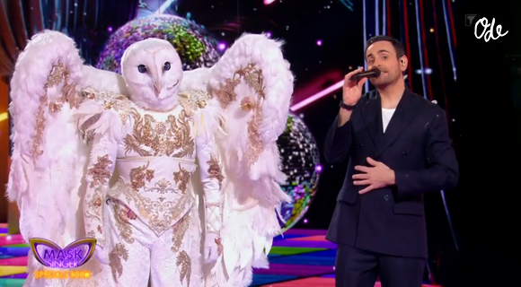 La Chouette dans Mask Singer - capture d'écran TF1