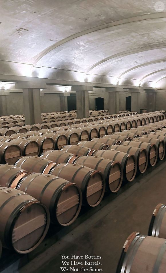 Le célèbre domaine du Sauternais, classé seul “Premier Cru Supérieur” en 1855, appartenait depuis des siècles à la famille Lur-Saluces. 

Jay Z et le directeur général du label américain Roc Nation Jay Brown fêtent leur anniversaire dans l'hôtel 5 étoiles privatisé "Les Sources de Caudalie" avec ses amis Kris Jenner, Ellen Pompeo, Beyonce, Rihanna, à Martillac près de Bordeaux, France, le 3 décembre 2023. Il y a eu un va-et-vient de navettes aux vitres teintées toute la journée de samedi.   L'anniversaire s'est déroulé du 1er au 4 décembre 2023. Parmi les 98 invités qui séjourneront sur place les stars internationales Kris Jenner, Ellen Pompeo, Beyonce et Jay-Z avec leurs enfants sont arrivés vendredi soir et la chanteuse Rihanna samedi dans la journée. La fête s'est poursuivie au château d'Yquem dimanche soir.