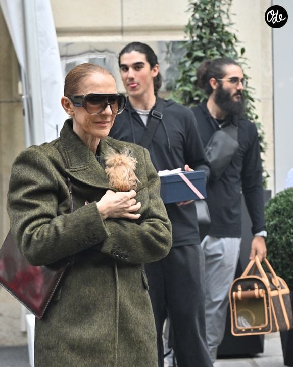 Céline Dion reste très attachée à sa vie de famille.

Céline Dion, accompagnée de ses fils Eddy et Nelson Angelil, quitte le palace Royal Monceau à La Plenitude Arena à Paris, après 16 concerts en cinq semaines devant près de 500.000 personnes, le 19 octobre 2026. 
© Christian Liewig / Bestimage
