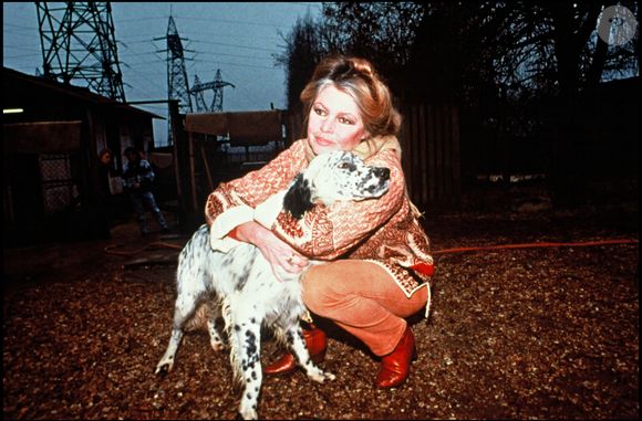 Archive - Brigitte Bardot. Photo par AGENCE / BESTIMAGE