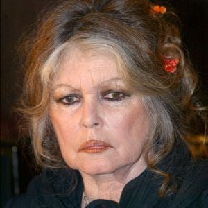 Brigitte Bardot, star du cinéma des années 60 et militante des droits des animaux, rencontre Dalil Boubakeur, chef de la communauté musulmane française, à la mosquée de Paris. Ils ont parlé de l'abattage traditionnel des moutons et de la possibilité de réduire la douleur des animaux. © Mousse/ABACA. 55907-10. Paris-France, 11 février 2004