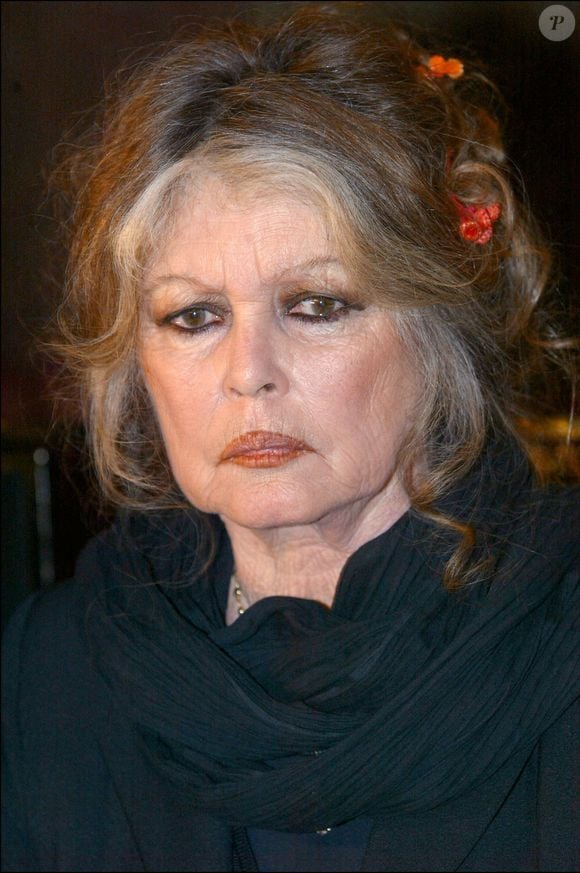 Brigitte Bardot, star du cinéma des années 60 et militante des droits des animaux, rencontre Dalil Boubakeur, chef de la communauté musulmane française, à la mosquée de Paris. Ils ont parlé de l'abattage traditionnel des moutons et de la possibilité de réduire la douleur des animaux. © Mousse/ABACA. 55907-10. Paris-France, 11 février 2004