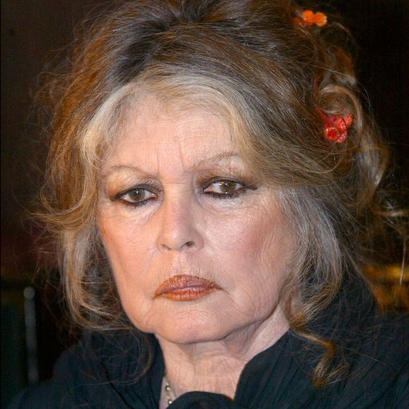 Brigitte Bardot, star du cinéma des années 60 et militante des droits des animaux, rencontre Dalil Boubakeur, chef de la communauté musulmane française, à la mosquée de Paris. Ils ont parlé de l'abattage traditionnel des moutons et de la possibilité de réduire la douleur des animaux. © Mousse/ABACA. 55907-10. Paris-France, 11 février 2004