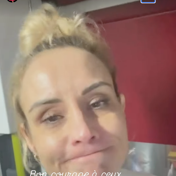 Elodie Gossuin a partagé sa mésaventure pour rentrer à Paris après l'annulation des trains au retour de Londres le mardi 30 décembre 2025 via Instagram @elodiegossuin