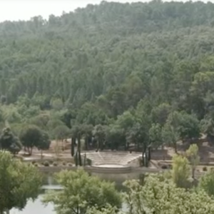 Acquis en 2011 avec son ex-épouse Angelina Jolie, ce domaine d'environ 600 hectares (dont des dizaines d'hectares de vignes) produit l'un des vins rosés les plus réputés au monde. Mais c'est avant tout le refuge de Brad Pitt.
Image du château de Miraval appartenant à Brad Pitt dans le Sud de la France. Image de TF1.