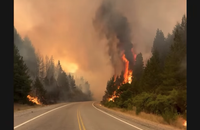 Ael Pagny, Instagram