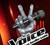 Dylan Carter, ancien talent de The Voice, est décédé à 24 ans.

The Voice