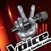 Un membre de la famille The Voice perd la vie sur la route