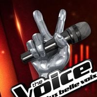 Un membre de la famille The Voice perd la vie sur la route