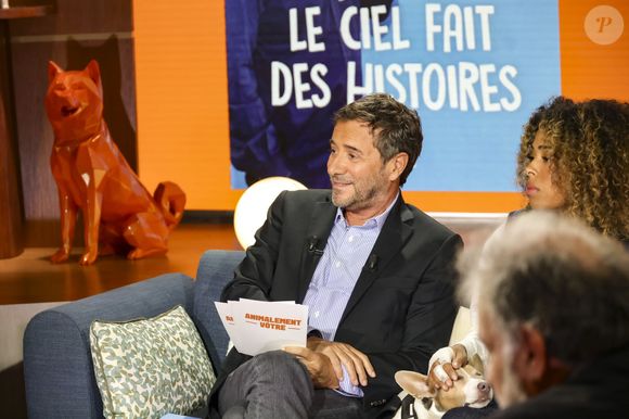 Exclusif - Bernard Montiel, Oli, sur plateau de la nouvelle émission "Animalement Vôtre" présentée par Bernard Montiel et diffusée le 16 novembre sur France 3, à Paris, France, le 14 octobre 2025. © Jack Tribeca/Bestimage