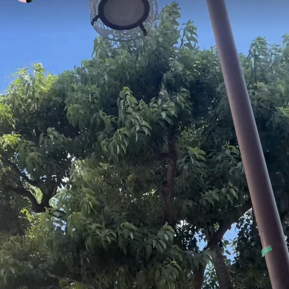 Ce week-end, l'acteur et producteur est en Corse d'où il est originaire. Et pour ce premier été passé sans Emilie Duquenne, il a choisi d'être entouré d'un ami : 

Michel Ferracci et Elie Semoun en Corse