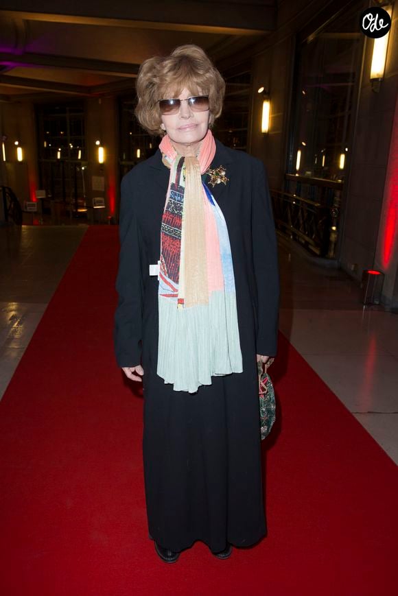 Nadine Trintignant - Dîner LINK pour les 30 ans de AIDES au Palais d'Iéna à Paris le 8 décembre 2014. 
©OLIVIER BORDE / BESTIMAGE
