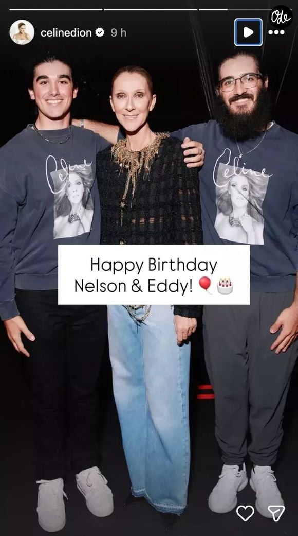 Céline Dion a partagé une adorable photo aux côtés de ses jumeaux. Capture d'écran Instagram