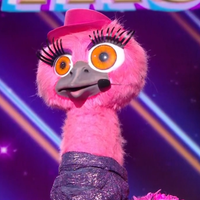 L'Autruche déjà démasquée dans Mask Singer 2025 ! Les premiers indices n'ont dupé personne