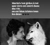 Jean-Paul Rouve a partagé une photo en noir et blanc de Muriel Bec, dresseuse animalière, posant aux côtés d’un loup majestueux.

Story Instagram de Jean-Paul Rouve en hommage à la disparue Muriel Bec.
