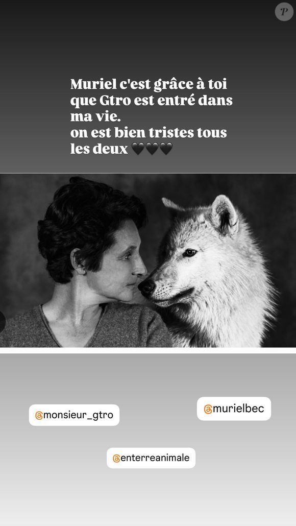 Jean-Paul Rouve a partagé une photo en noir et blanc de Muriel Bec, dresseuse animalière, posant aux côtés d’un loup majestueux.

Story Instagram de Jean-Paul Rouve en hommage à la disparue Muriel Bec.