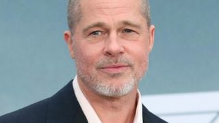 Dans le Sud de la France, le domaine de Miraval de Brad Pitt abrite un studio d'enregistrement très connu : l'un des albums les plus vendus au monde y a été enregistré