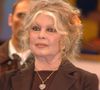 S'agit-il de la petite fille de Brigitte Bardot ?

Brigitte Bardot, à Paris, il y a dix ans.
Bestimage