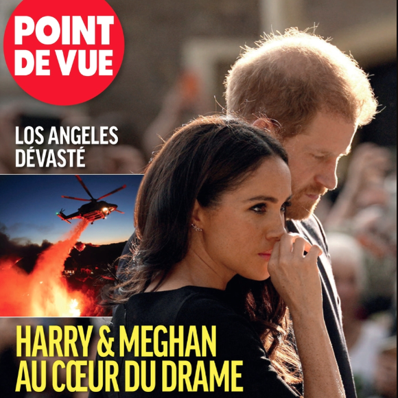 "Point de Vue" du 15 janvier 2025