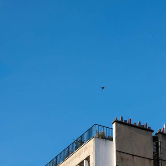 Architecture de collection - Capture d'écran - Dernière demeure de Claude François.