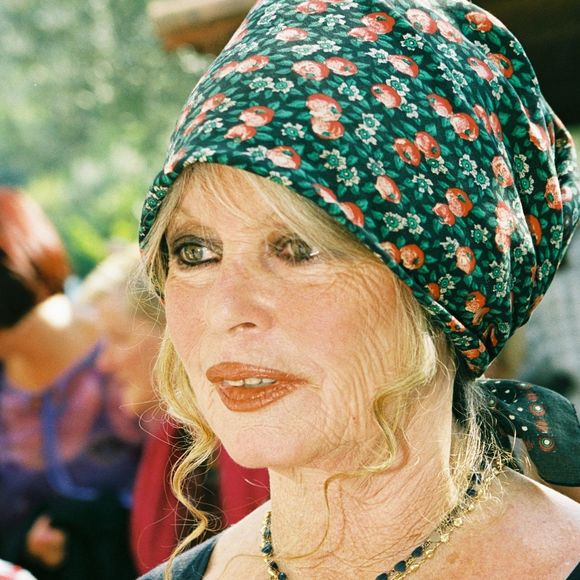 Archives - Brigitte Bardot est morte à 91 ans.
Crédit : Backgrid UK/ Bestimage