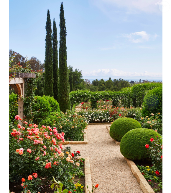 Le jardin de roses d'Oprah Winfrey, Montecito, Californie. Photo publiée sur Instagram le 29 janvier 2021.