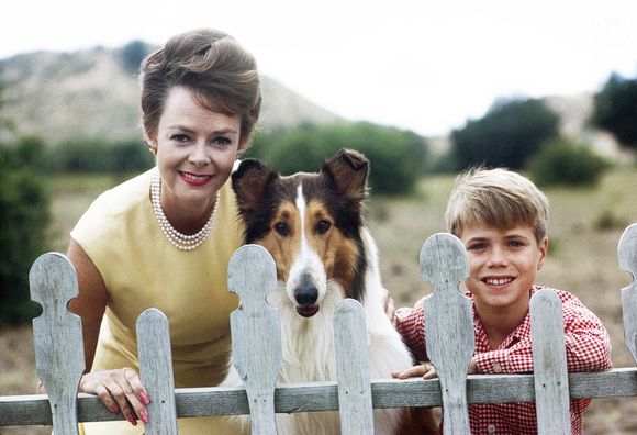 "Elle a été très heureuse jusqu’au bout", a indiqué son porte-parole, soulignant son goût intact pour l’actualité et la lecture quotidienne des journaux. 

LASSIE, de gauche à droite : June Lockhart, Lassie, Jon Provost, (1963), 1954-1974. ph : John R. Hamilton / TV Guide /Courtesy Everett Collection/ABACAPRESS.COM