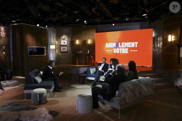 Exclusif - Laurent Romejko, sur plateau de la nouvelle émission "Animalement Vôtre" présentée par Bernard Montiel et diffusée le 16 novembre sur France 3, à Paris, France, le 14 octobre 2025. © Jack Tribeca/Bestimage