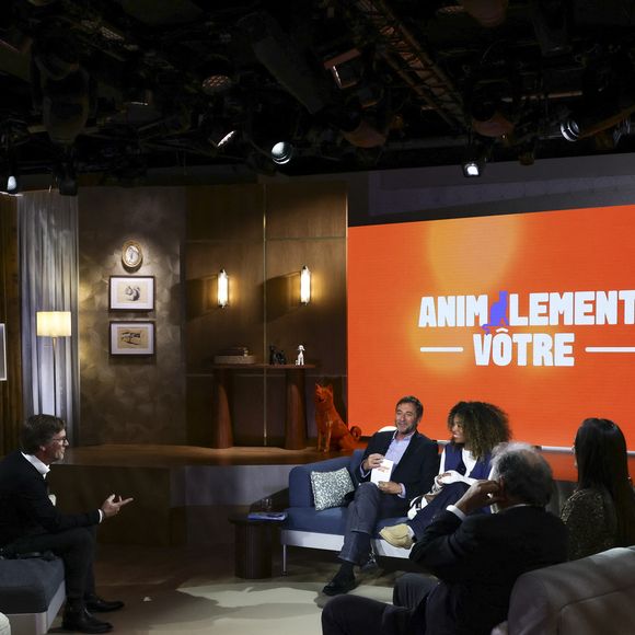 Exclusif - Laurent Romejko, sur plateau de la nouvelle émission "Animalement Vôtre" présentée par Bernard Montiel et diffusée le 16 novembre sur France 3, à Paris, France, le 14 octobre 2025. © Jack Tribeca/Bestimage
