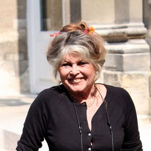Archives - Brigitte Bardot rencontre au nom de son association le ministre de l'agriculture Dominique Bussereau autours des thèmes suivants : Comment endiguer la surpopulation des animaux de compagnie en France, obligation d'étourdissement lors des abattages rituel, réforme de l'élevage des poulets de chair le 11 mai 2006 © JSB/Pixplanete/Bestimage