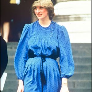 Le prince de Galles ne souhaite pas reproduire certaines erreurs commises par ses parents.

La princesse Diana. © AGENCE / BESTIMAGE