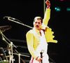 Selon le "Dailymail", ce livre baptisé "Love, Freddie", raconte l'histoire de cette enfant qui aurait été conçue accidentellement lors d'une aventure en 1976 avec la femme d'un de ses amis.

Freddie Mercury, leader de Queen.