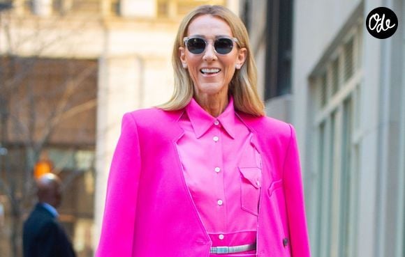 Céline Dion est de retour sur scène à Paris depuis septembre, pour une série de concerts qui se poursuit jusqu'à mi octobre. Un rythme intense pour n'importe quel artiste.

Celine Dion a choisi de s'habiller en rose pour la Journée Internationale pour les Droits des Femmes à New York