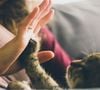 Pour de nombreux amoureux des félins, vivre avec plusieurs chats est une évidence.

Jonas Vincent /Unsplash
