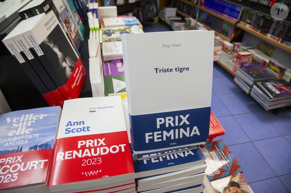 Présentation des livres primes sur un présentoir d'une librairie, prix littéraires, avec le livre de Neige Sinno, "Triste tigre", qui a eu le prix Femina 2023, le livre d'Ann Scott, Les Insolents, prix Renaudot et le prix Goncourt, Veiller sur elle de Jean Baptiste Andrea - Photo by Durand T/ANDBZ/ABACAPRESS.COM