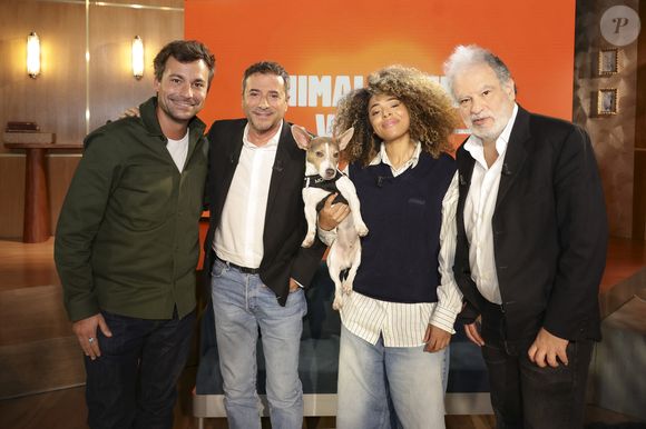 Parmi eux, Bertrand Chameroy, ancien chroniqueur de Touche pas à mon poste, retrouve Bernard Montiel.

Bertrand Chameroy, Bernard Montiel, Oli et son chien Monday et Raphaël Mezrahi sur plateau de l'émission "Animalement Vôtre" présentée par B.Montiel et diffusée le 25 janvier 2026 sur France 3, à Paris, France, le 3 décembre 2025. © Jack Tribeca/Bestimage