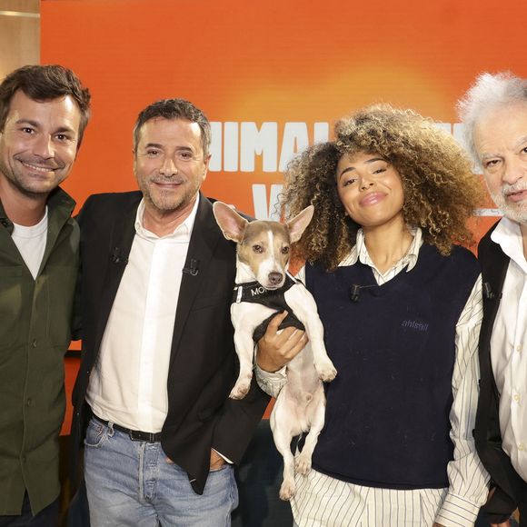 Parmi eux, Bertrand Chameroy, ancien chroniqueur de Touche pas à mon poste, retrouve Bernard Montiel.

Bertrand Chameroy, Bernard Montiel, Oli et son chien Monday et Raphaël Mezrahi sur plateau de l'émission "Animalement Vôtre" présentée par B.Montiel et diffusée le 25 janvier 2026 sur France 3, à Paris, France, le 3 décembre 2025. © Jack Tribeca/Bestimage