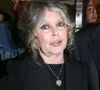 Avec son époux, elle souhaitait en faire une maison-musée ou une maison d’hôtes dédiée à l’icône française, mais des problèmes d’urbanisme ont finalement compromis leur projet. 

Archives - Brigitte Bardot est morte à 91 ans