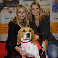 "Certains collègues sont encore sur le carreau" : 3 mois après la fin de C8, ce duo emblématique rebondit mais ne parvient pas à se réjouir