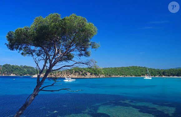 Bateaux au mouillage vus a travers les pins devant la plage de l'Estagnol à Bormes les Mimosas (83), dans le Var, France. Photo de Zintzmeyer/Andbz/Abaca