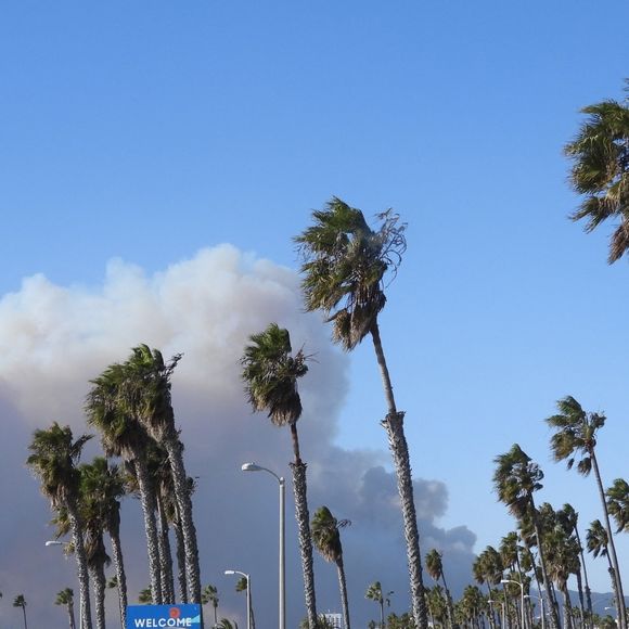 Los Angeles, CA  - Fire rages through the multi-million dollar homes in the celeb-packed Pacific Palisades area of Los Angeles. This is the view of the inferno from Venice Beach. Planes could be seen dumping extinguisher on the flames. Smoke completely covers the skyline. Celebs with homes in the Palisades include Tom Hanks, Adam Sandler, Larry David, Steven Spielberg, Matt Damon, Ben Affleck and Arnold Schwarzenegger.



Pictured: Wildfire