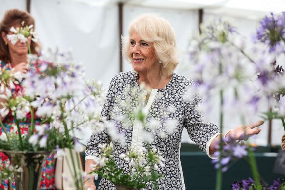 Le roi Charles III d'Angleterre et Camilla Parker Bowles, reine consort d'Angleterre, visitent le Sandringham Flower Show 2025, le 23 juillet 2025. @Chris Radburn/WPA-Pool/Bestimage