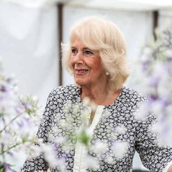 Le roi Charles III d'Angleterre et Camilla Parker Bowles, reine consort d'Angleterre, visitent le Sandringham Flower Show 2025, le 23 juillet 2025. @Chris Radburn/WPA-Pool/Bestimage