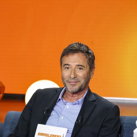 Il était huissier de justice.

Exclusif - Bernard Montiel, Oli, sur plateau de la nouvelle émission "Animalement Vôtre" présentée par Bernard Montiel et diffusée le 16 novembre sur France 3, à Paris, France, le 14 octobre 2025. © Jack Tribeca/Bestimage