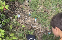 Jade Leboeuf partage une vidéo de son fils en pleine action écologique, sur Instagram.